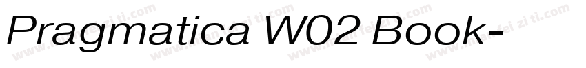Pragmatica W02 Book字体转换